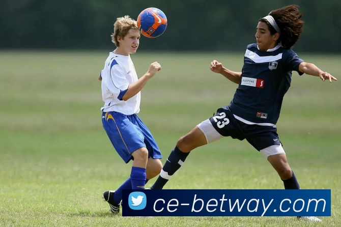 BETWAY体育官网平台生态图